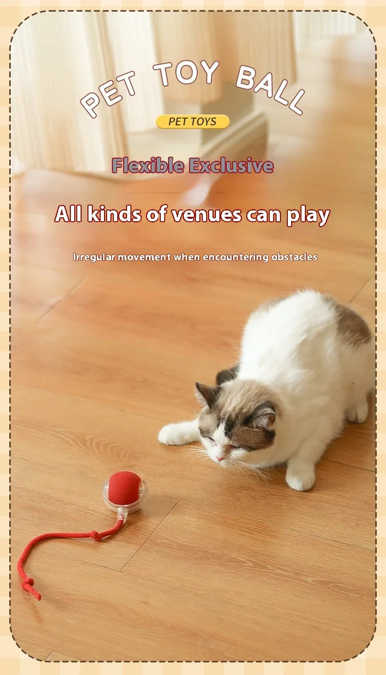 Interactive Electric Rolling Cat Ball Toy