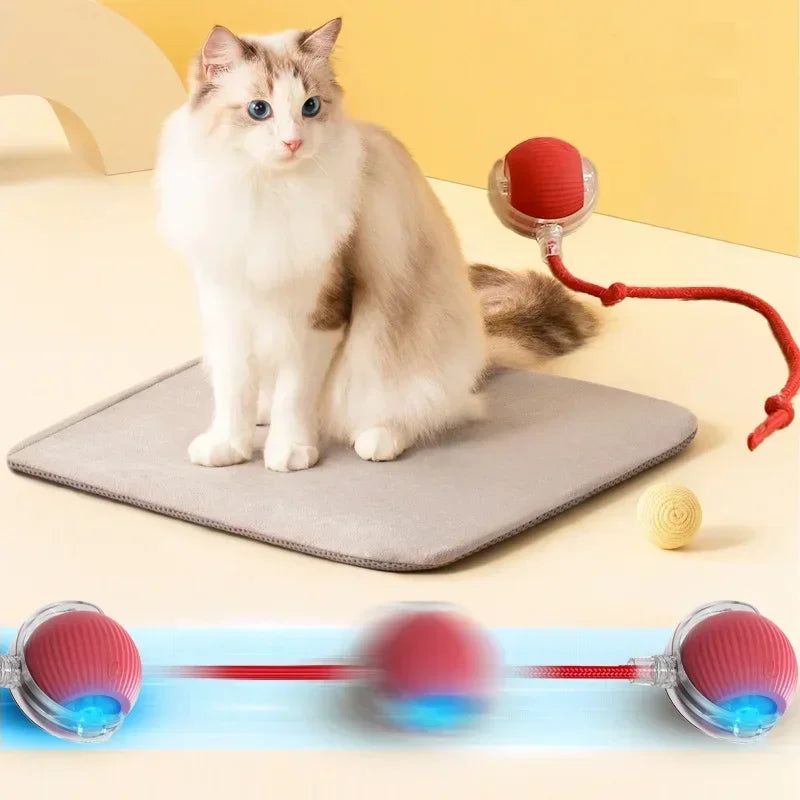 Interactive Electric Rolling Cat Ball Toy