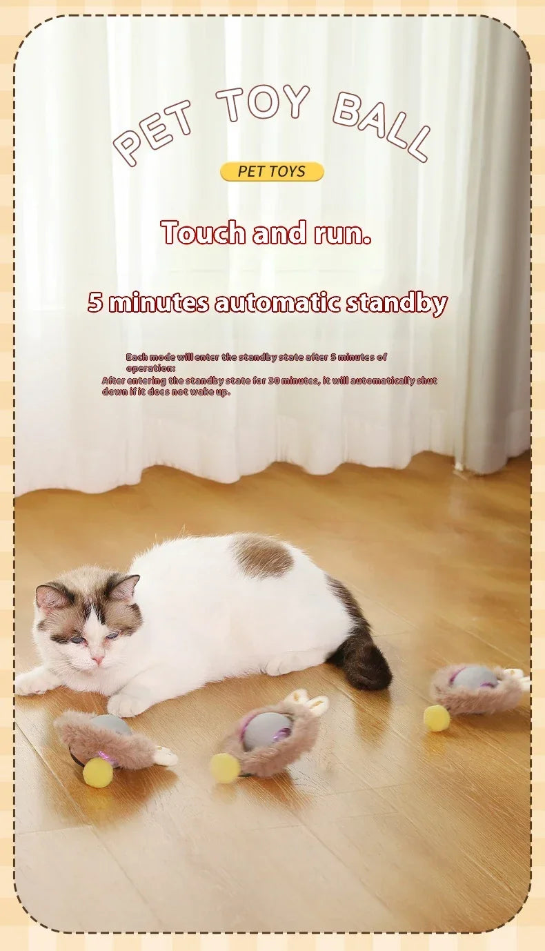 Interactive Electric Rolling Cat Ball Toy