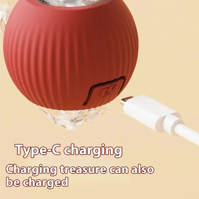Interactive Electric Rolling Cat Ball Toy
