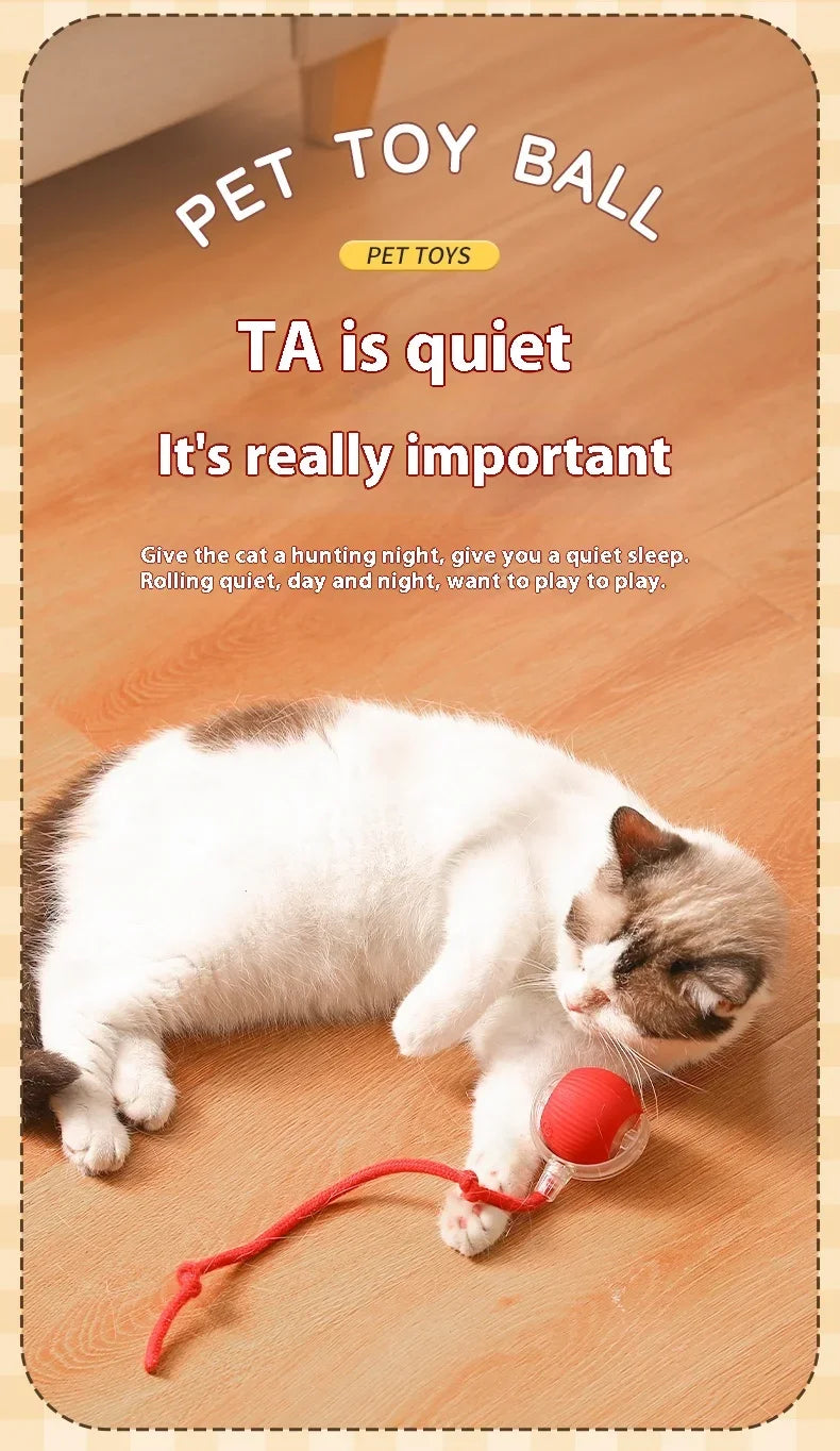 Interactive Electric Rolling Cat Ball Toy