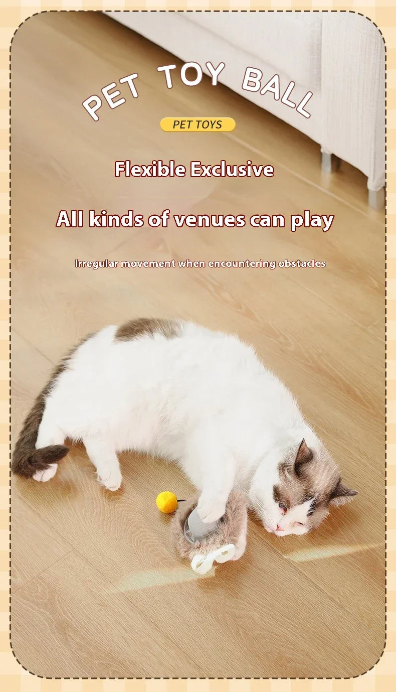 Interactive Electric Rolling Cat Ball Toy