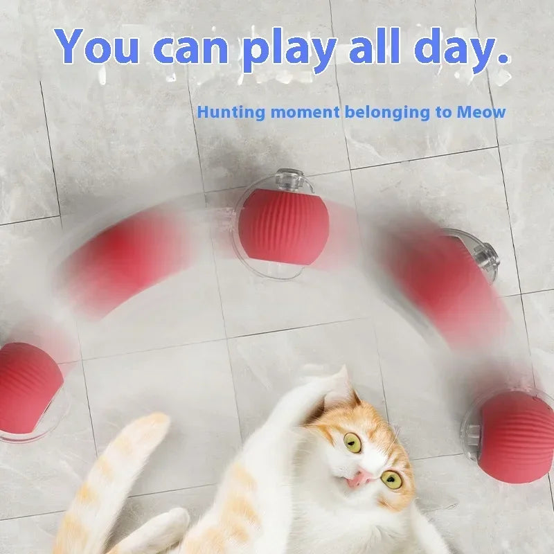Interactive Electric Rolling Cat Ball Toy