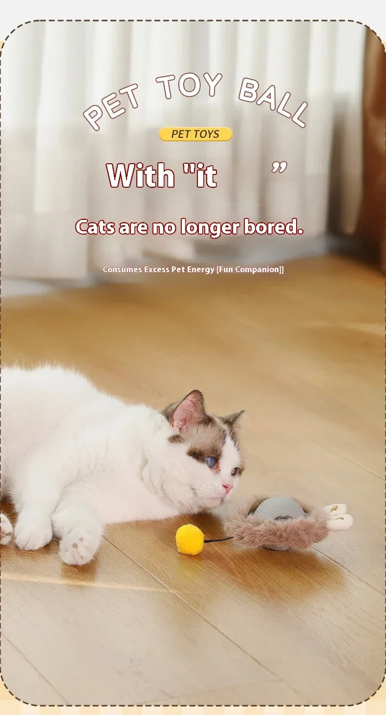 Interactive Electric Rolling Cat Ball Toy