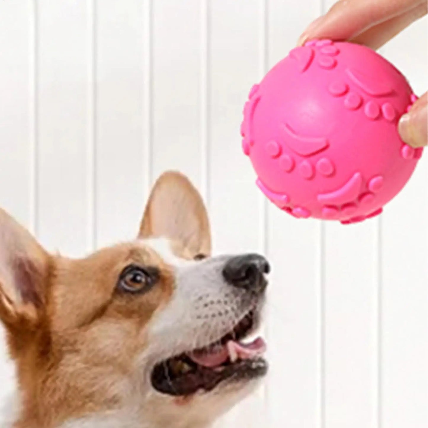 Indestructible Squeaky Dog Ball Toy - Latex Material