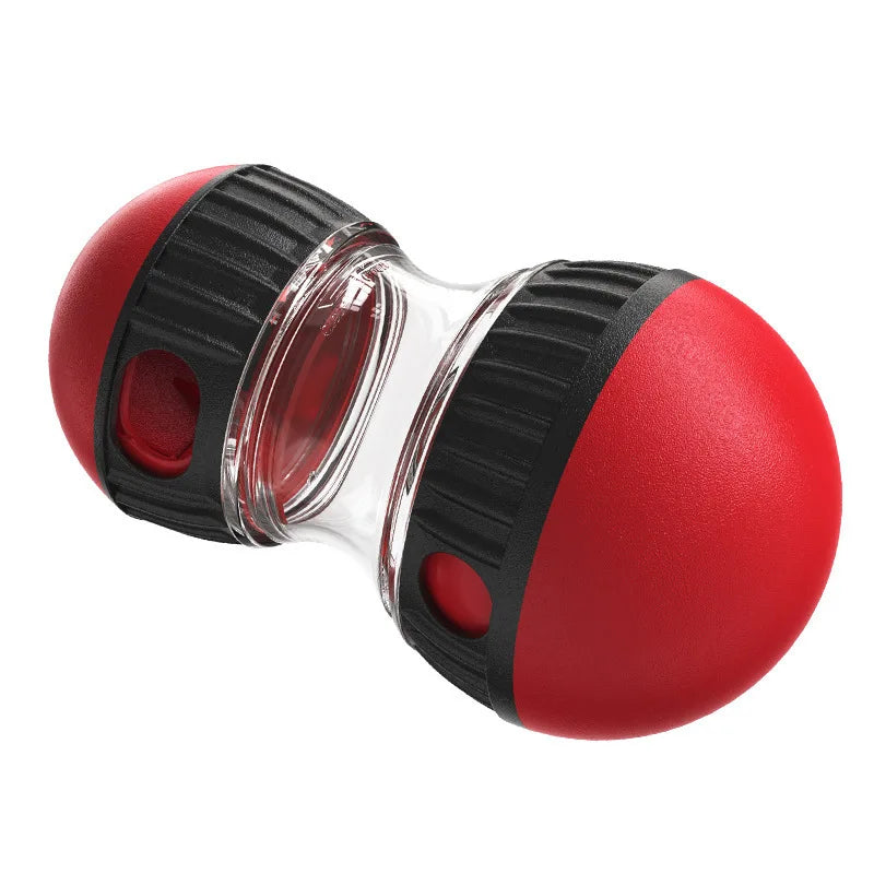 Interactive Dog Ball Toy with Elliptical Track and Food Dispensing Features
