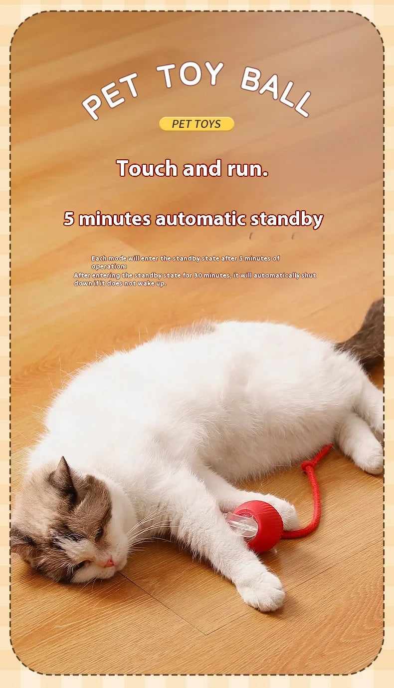 Interactive Electric Rolling Cat Ball Toy