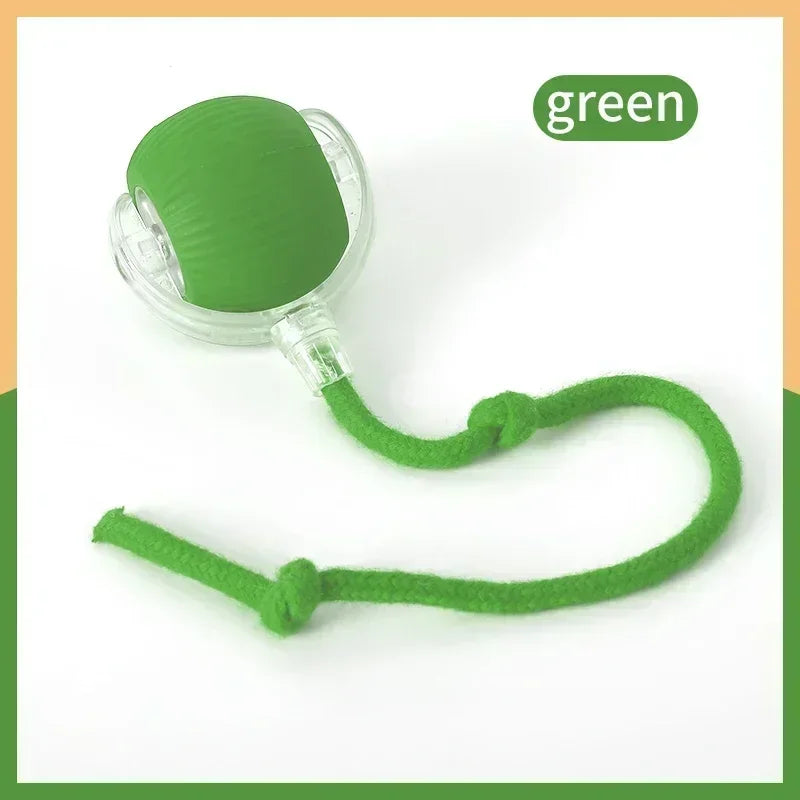 Interactive Electric Rolling Cat Ball Toy