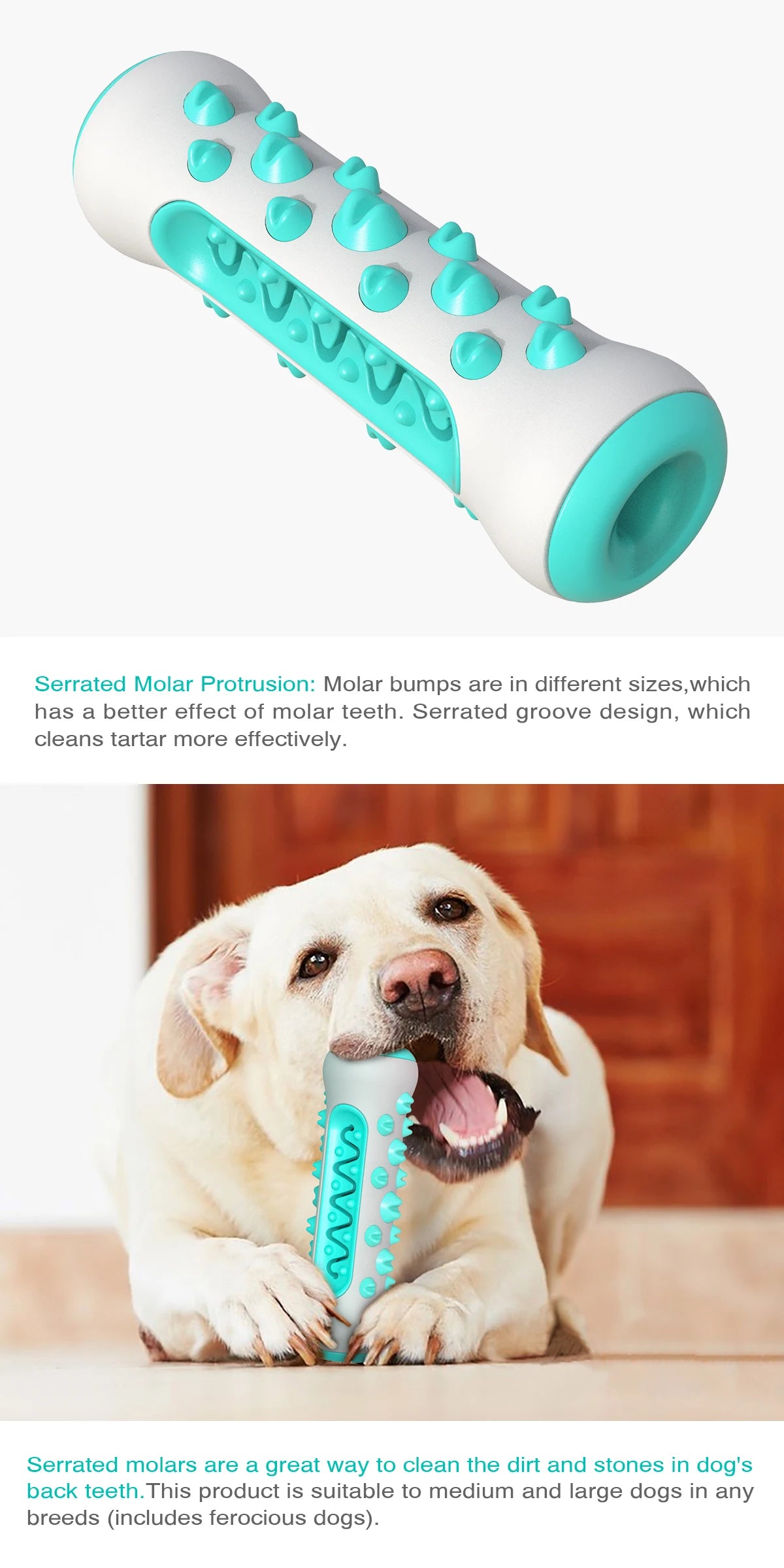 Pet Toothbrush Stick - Dog Chew Toy for Medium and Large Dogs