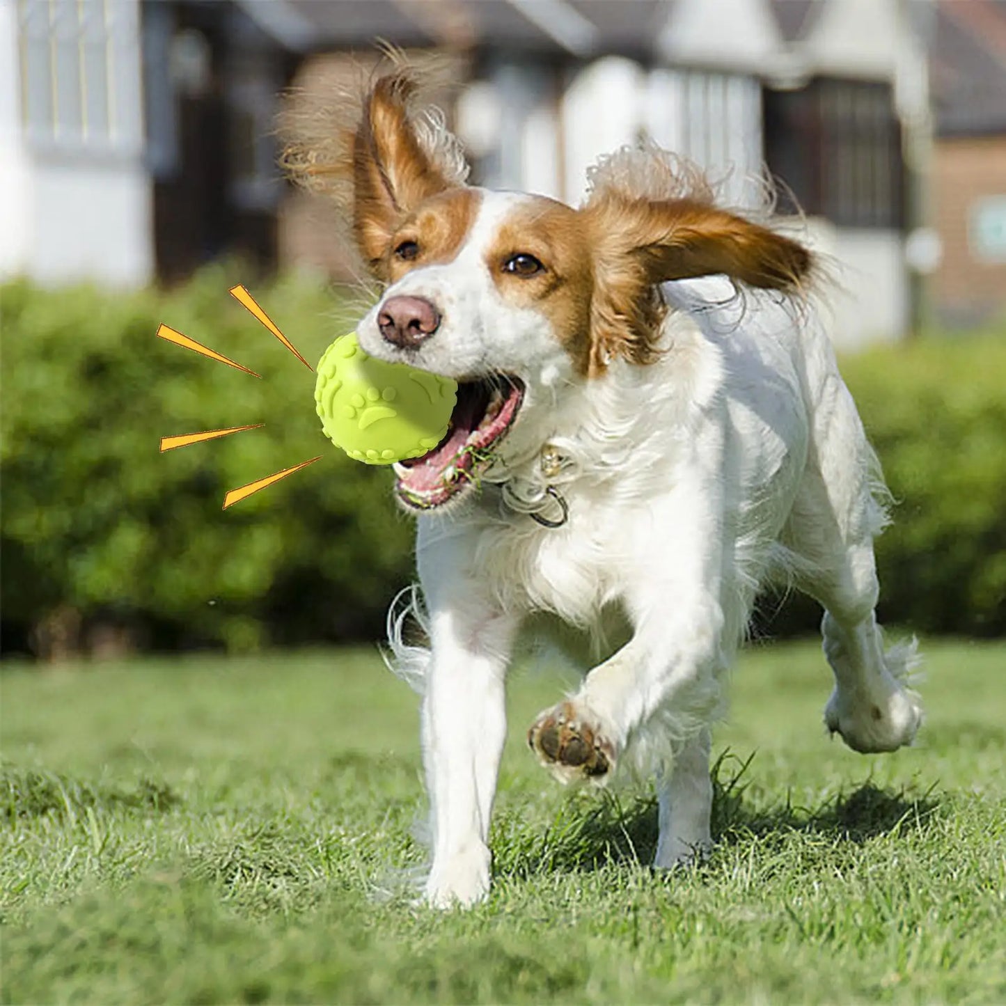 Indestructible Squeaky Dog Ball Toy - Latex Material