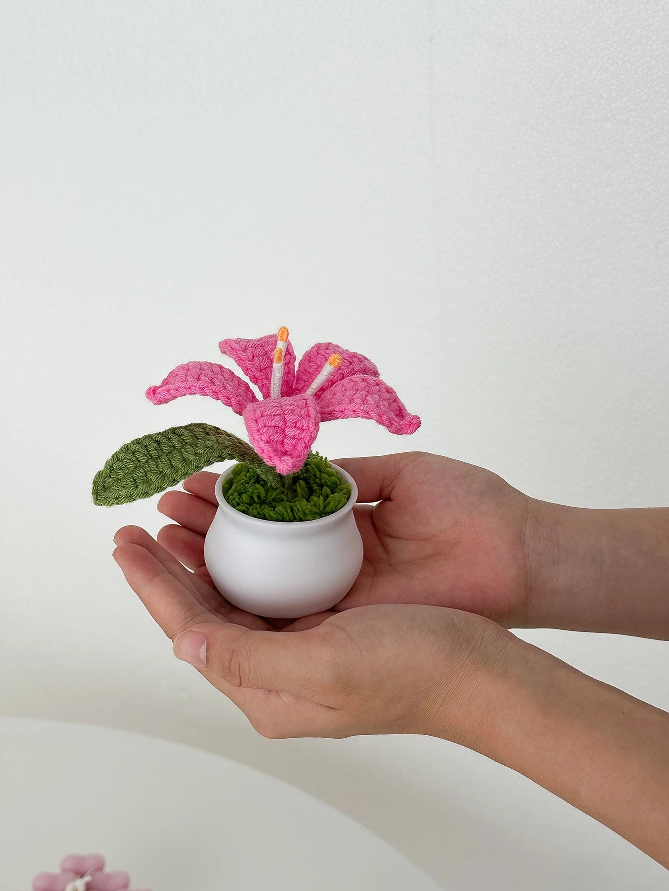 Handcrafted Crochet Lily Pot | Mother's Day, Birthday, Anniversary & Graduation Gift