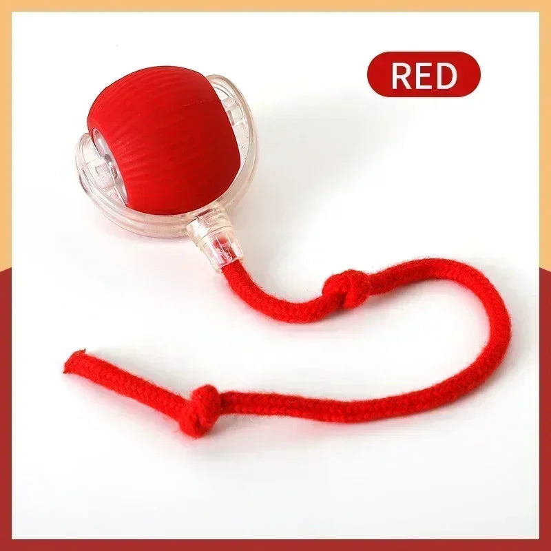 Interactive Electric Rolling Cat Ball Toy