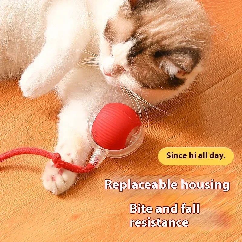 Interactive Electric Rolling Cat Ball Toy