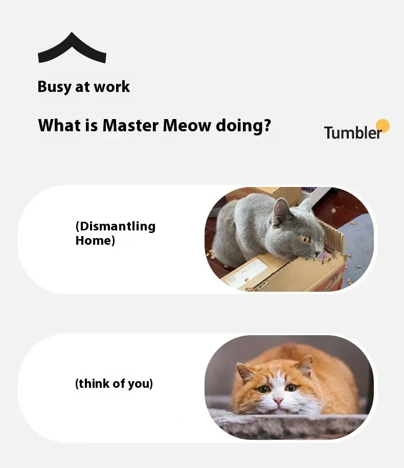 Interactive Electric Rolling Cat Ball Toy