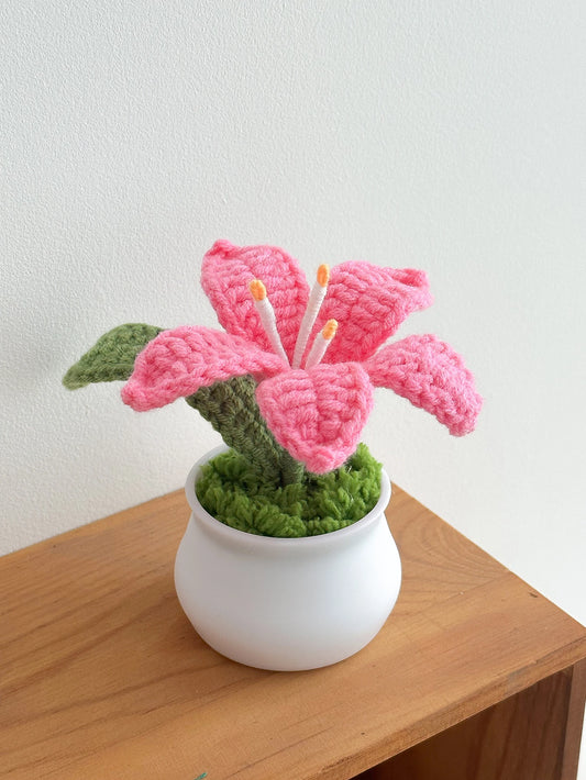 Handcrafted Crochet Lily Pot | Mother's Day, Birthday, Anniversary & Graduation Gift