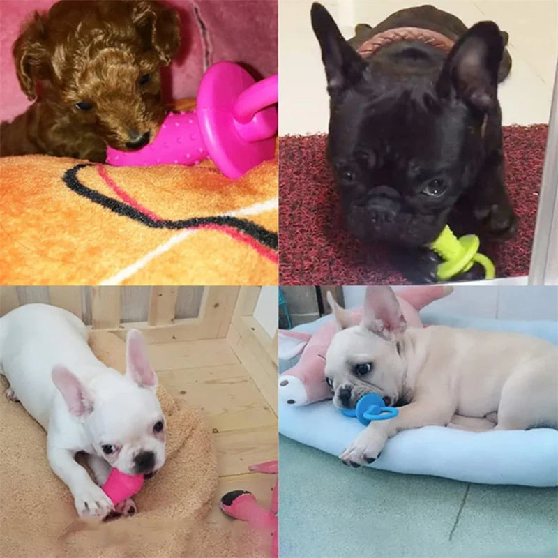 Rubber Pacifier Dog Chew Toy