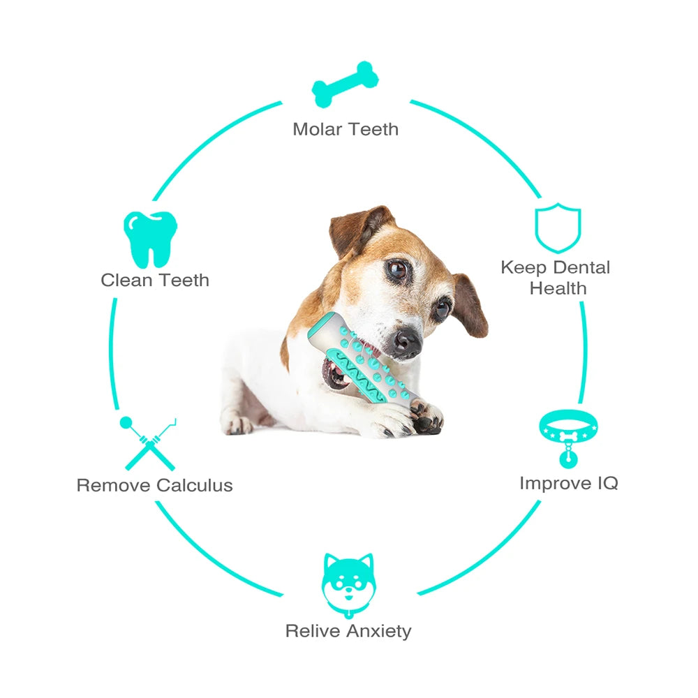 Pet Toothbrush Stick - Dog Chew Toy for Medium and Large Dogs