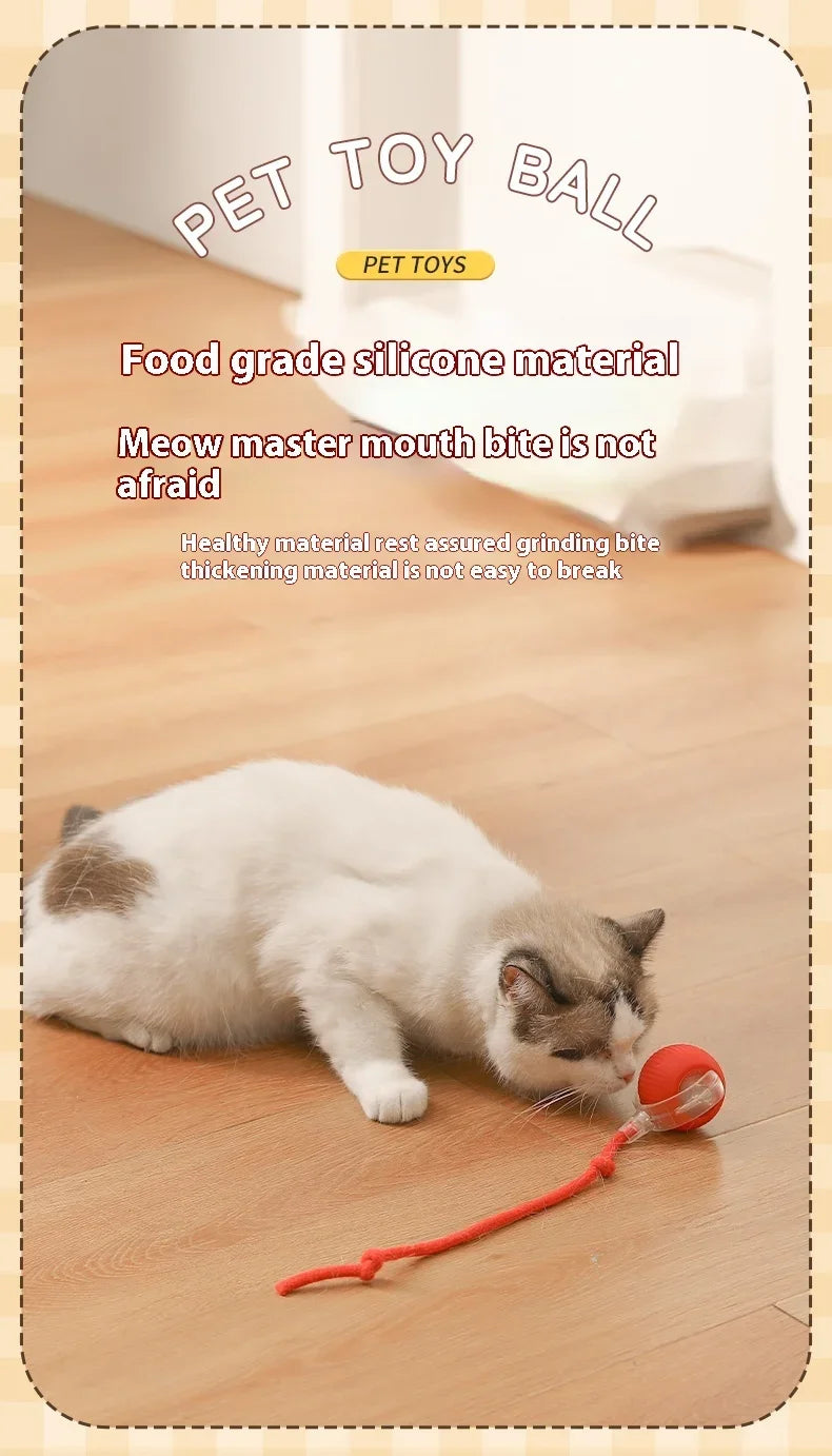 Interactive Electric Rolling Cat Ball Toy